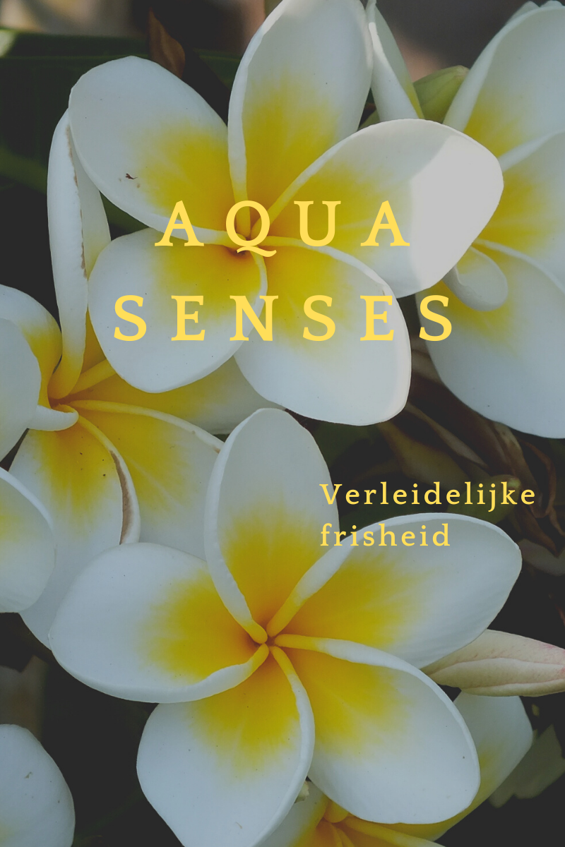 Aqua Senses Shampooing cheveux et corps tout en un - soin intelligent, 300 ml