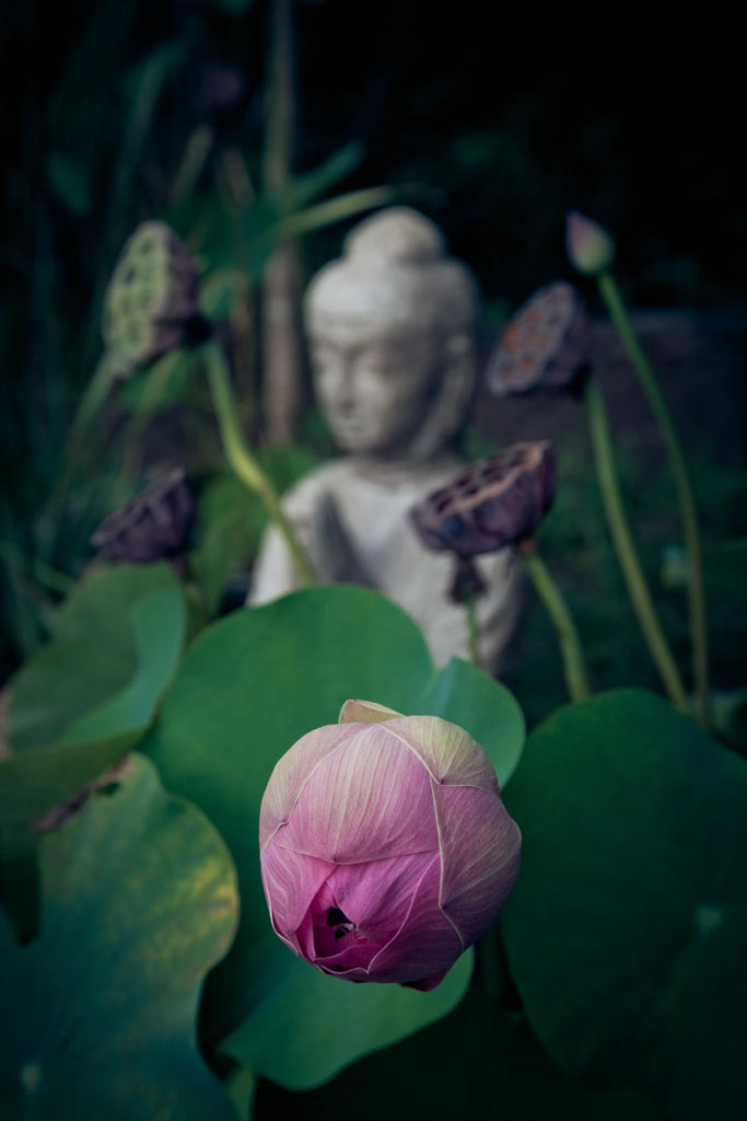 Ontdek de Kracht van Meditatie: Soorten en Voordelen voor Jouw Wellness